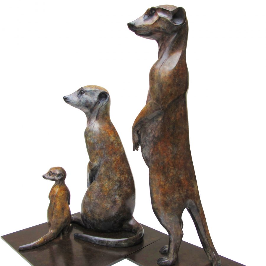 Porras-Suricates 1