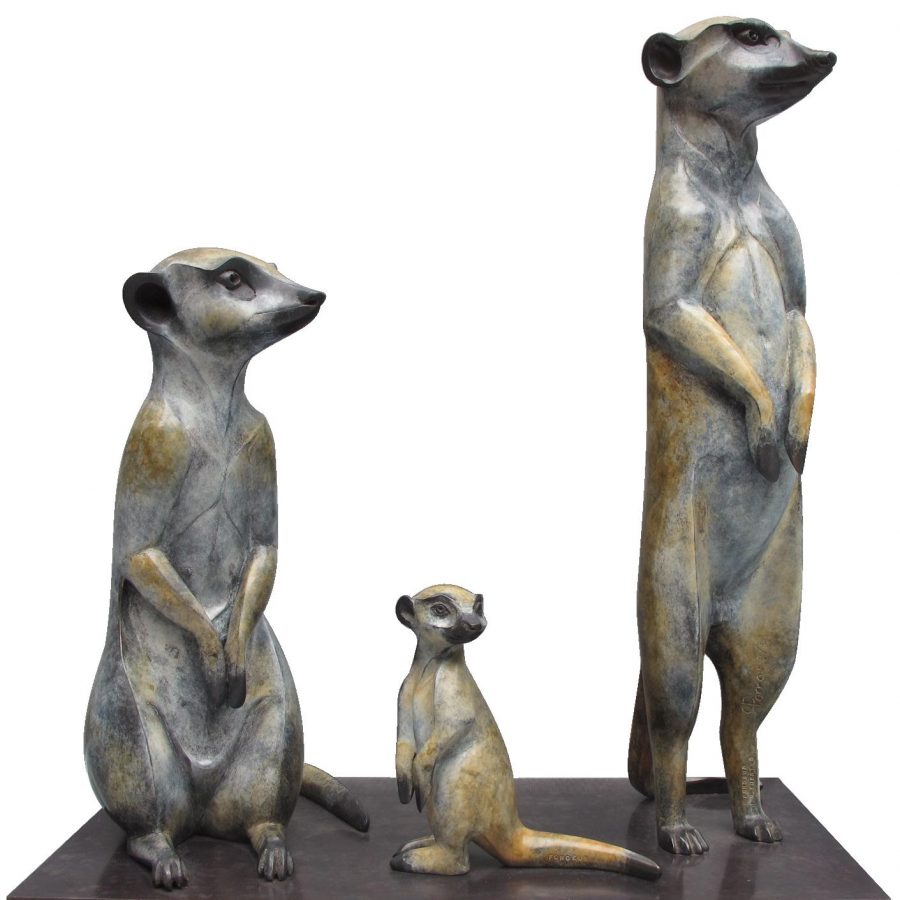 Porras-suricates 2